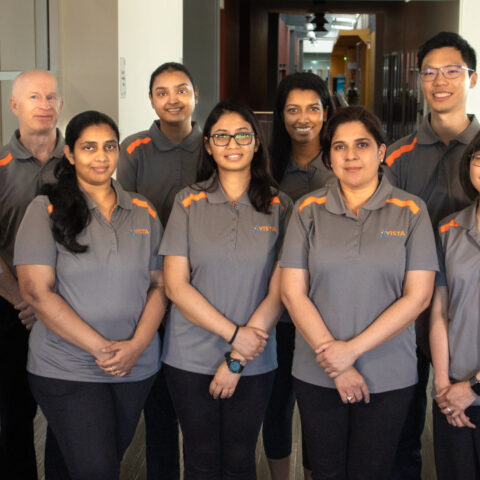 vista healthcare staff group